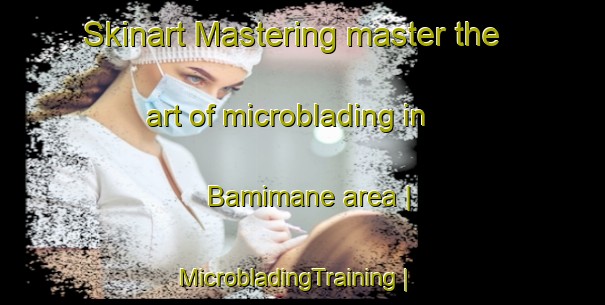 Skinart Mastering master the art of microblading in Bamimane area | MicrobladingTraining | MicrobladingClasses | SkinartTraining-India